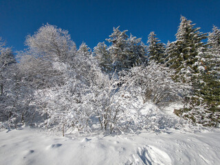 Winter landscape of Vitosha Mountain, Bulgaria