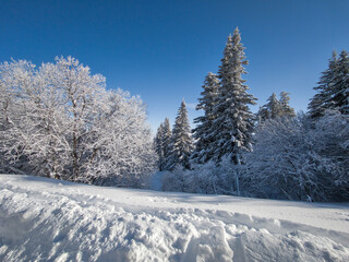 Winter landscape of Vitosha Mountain, Bulgaria