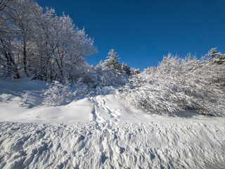 Winter landscape of Vitosha Mountain, Bulgaria