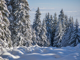 Winter landscape of Vitosha Mountain, Bulgaria