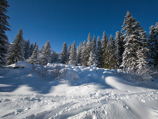 Winter landscape of Vitosha Mountain, Bulgaria