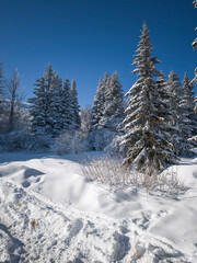Winter landscape of Vitosha Mountain, Bulgaria