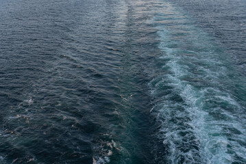 Beautiful photo of the sea waves