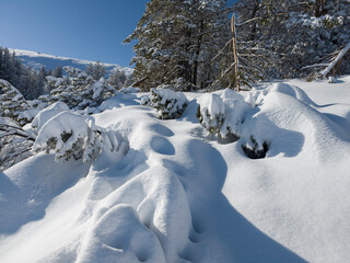 Winter landscape of Vitosha Mountain, Bulgaria