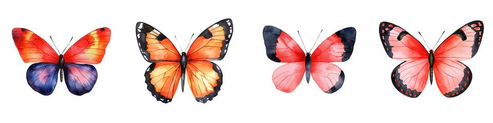 Fototapeta premium Valentine day element, Colorful butterfly watercolor art , isolated on transparent background