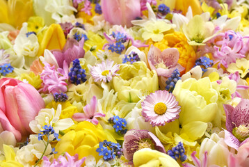 Blossoming white and light yellow daffodils, pink hyacinths and spring flowers festive background, bright springtime bouquet floral card, selective focus, shallow focus