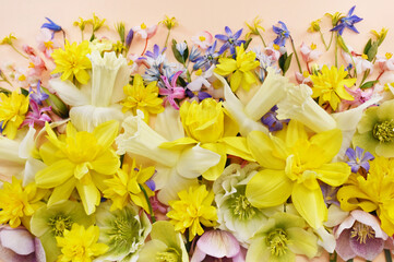 Blossoming white and light yellow daffodils, pink hyacinths and spring flowers festive background, bright springtime bouquet floral card, selective focus, shallow focus