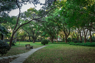 path in the park