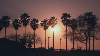 Obraz premium 袖ヶ浦海浜公園夕景
