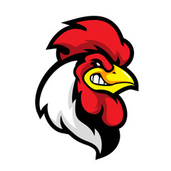 cool face of angry rooster isolated work in white background