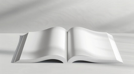 open book with blank pages