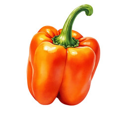 Vivid Orange Bell Pepper Illustration on Transparent Background. Suitable for Creative Projects and Digital Designs.