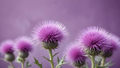 Clear Plain Shiny Warm Soft Vintage Bokeh Cloudy Wave Like Geometric Purple Background or Texture