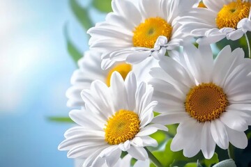 Fototapeta premium Dreamy White Daisy Meadow in Soft Sunlight with Vibrant Details