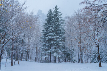 Winter snowy landscape Volcanic scenery of Showa-shinsan in Hokkaido,Japan, Travel.