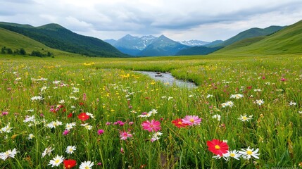 Fototapeta premium Serene nature concept. Vibrant wildflower field with a stream and mountains under a cloudy sky.