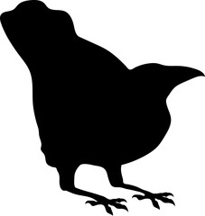 Bird Raven Crow Black Silhouette for Icon.