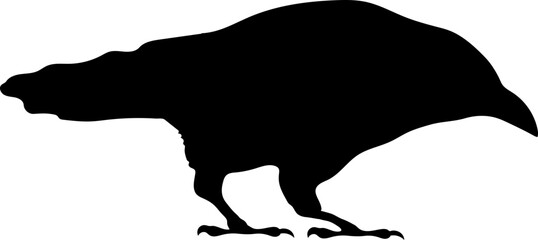Bird Raven Crow Black Silhouette for Icon.