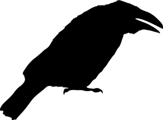 Bird Raven Crow Black Silhouette for Icon.