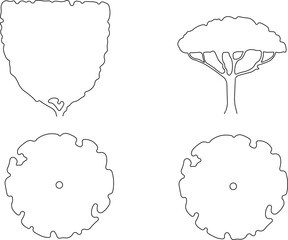 vector illustration design image plant tree sketch simple silhouette for completeness of the image