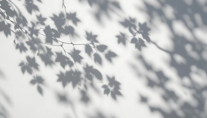 Shadows Sunlight Leaves, Plant Wall Concrete