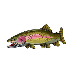 rainbow trout fishing illustration logo vector image t shirt