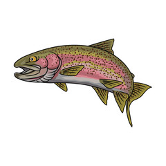 rainbow trout fishing illustration logo vector image t shirt