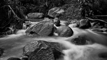 Beautiful silky water at riverside. Slow speed black and white photo shot. Tropical countryside.