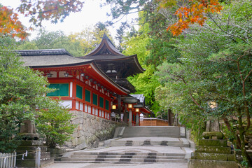 石上神宮・回廊・モミジ（奈良県・天理市）