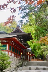 石上神宮・回廊・モミジ（奈良県・天理市）