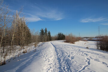 Winter Day In The Park, Pylypow Wetlands, Edmonton, Alberta