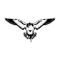 pintail duck hunting illustration logo vector image t shirt