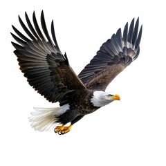 Obraz premium Majestic Bald Eagle in Flight, Wings Spread | Wildlife photography