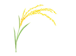 シンプルな稲穂の水彩イラスト