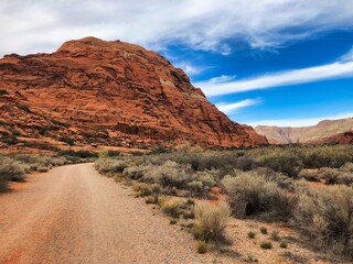 Fall at Snow Canyon State Park in Utah.