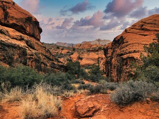 Autumn View from Hidden Pinyon Trail in Snow Canyon State Park in Utah.