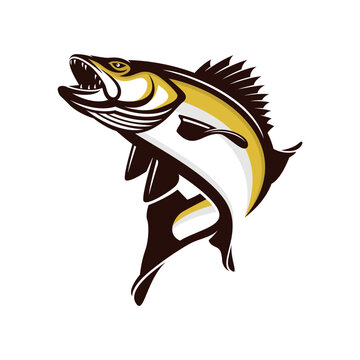 walleye fishing illustration logo vector image t shirt