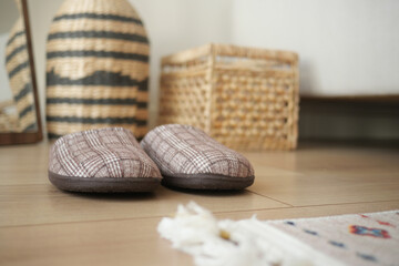 Cozy Indoor Slippers Positioned Comfortably on a Warm Wooden Floor