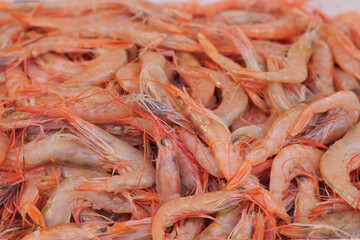 Freshly Caught Medium Shrimp That are Perfectly Ready for Cooking Now