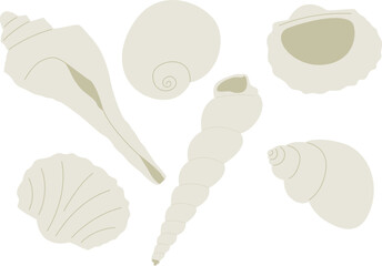 Minimalist Illustration of Various Seashells