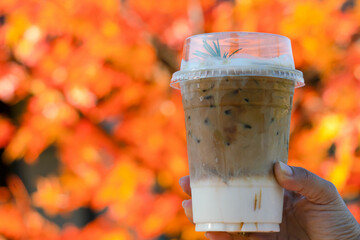 Hand holding Iced Coffee with autumn background and maple leaves and bokeh