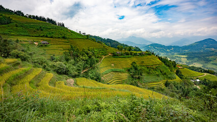 Fototapeta premium Landscape with green and yellow rice terraced fields and cloudy sky in North Vietnam