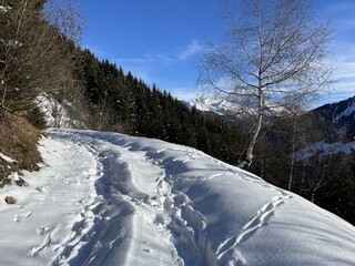 Wonderful winter hiking trails and traces in the fresh alpine snow cover of the Swiss Alps and over the tourist resort of Arosa - Canton of Grisons, Switzerland (Kanton Graubünden, Schweiz)