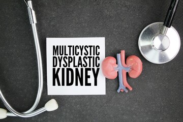 stethoscope and paper with kidney related disease which is Multicystic Dysplastic Kidney