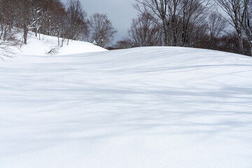 雪原の風景