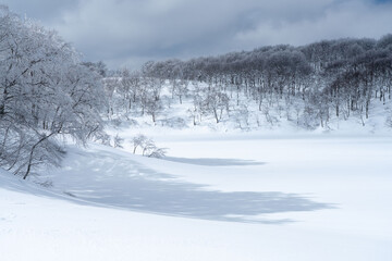 雪原の風景