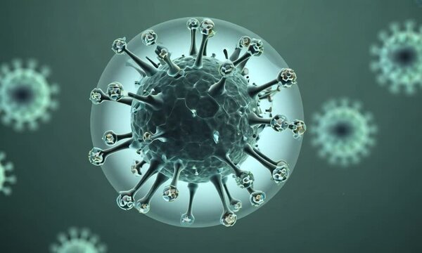 3d rendered illustration of a virus