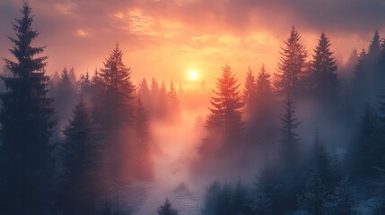 Fototapeta premium Misty sunrise, snow-covered pines, orange sky.