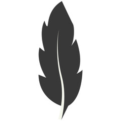 Black Silhouette of Curved Feather. Vector Illustration Design.