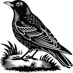 Obraz premium Martin vector silhouette, isolated white background